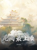 此间最上乘封面图片