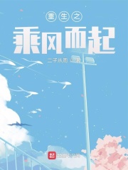重生之乘风而起封面图片